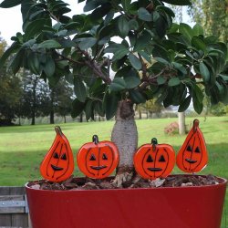 Halloween Grskar  - St med 2 stk sm