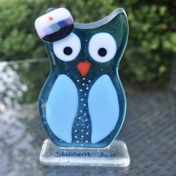 Bl ugle med STU hue