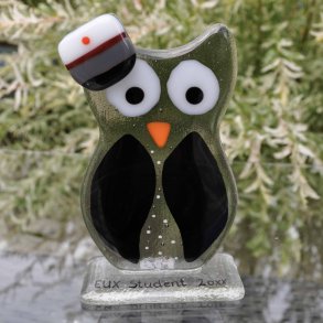 Sort ugle med EUX hue