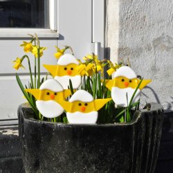 Kyllinger i ggeskal p pind 