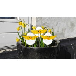 Kyllinger i ggeskal p pind 