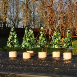 Juletrer p lys trfod m/grn drys