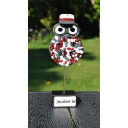 Pjusket Studenter Ugle - EUX