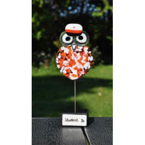 Pjusket Studenter Ugle - PAU