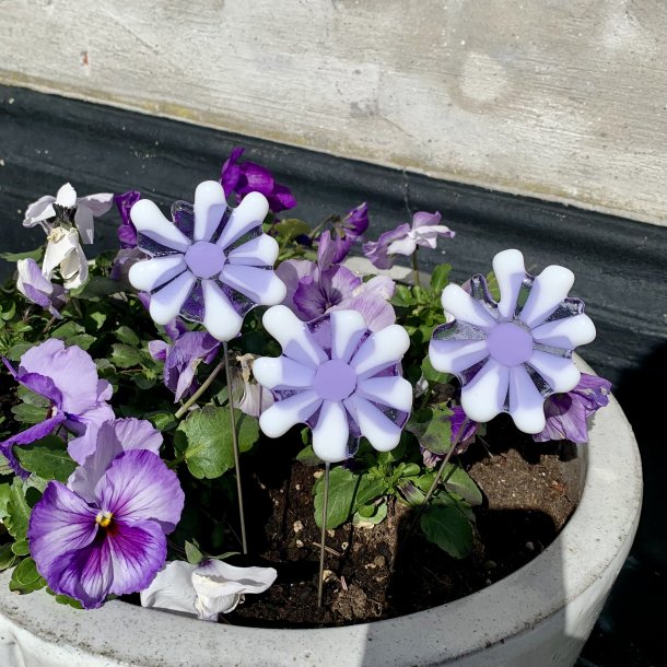 Glasblomster - Hvid / Lilla (3 stk)