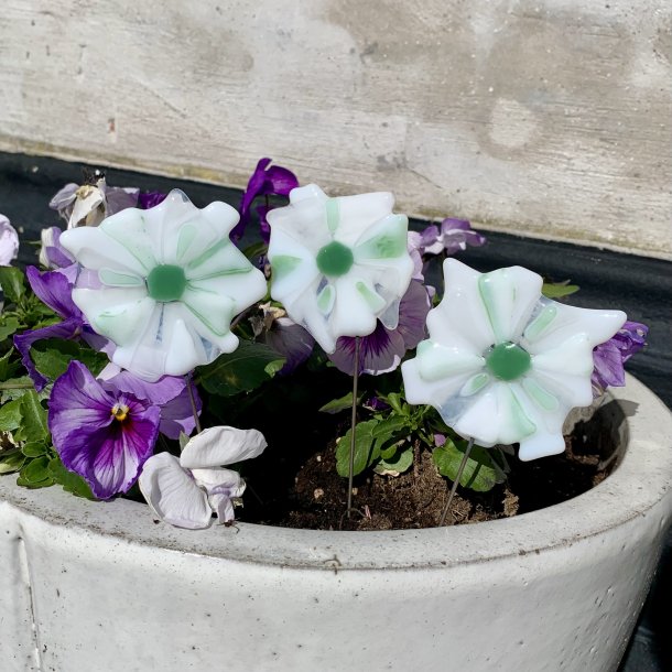 Glasblomster - Hvid / Grn (3 stk)