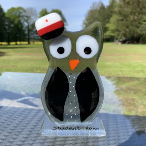 Sort ugle med STX hue