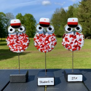 Pjusket Studenter Ugle - STX