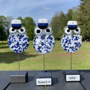 Pjusket Studenter Ugle - HTX