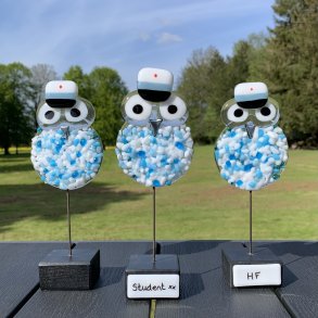 Pjusket Studenter Ugle - HF