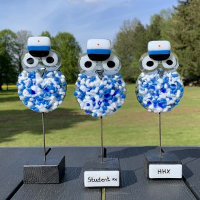 Pjusket Studenter Ugle - HHX (kongebl)