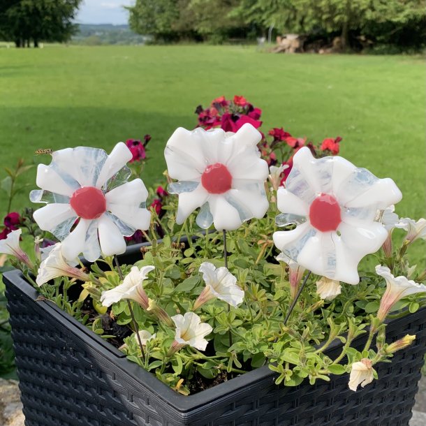 Glasblomster Hvid/Lyserd  (3 stk)