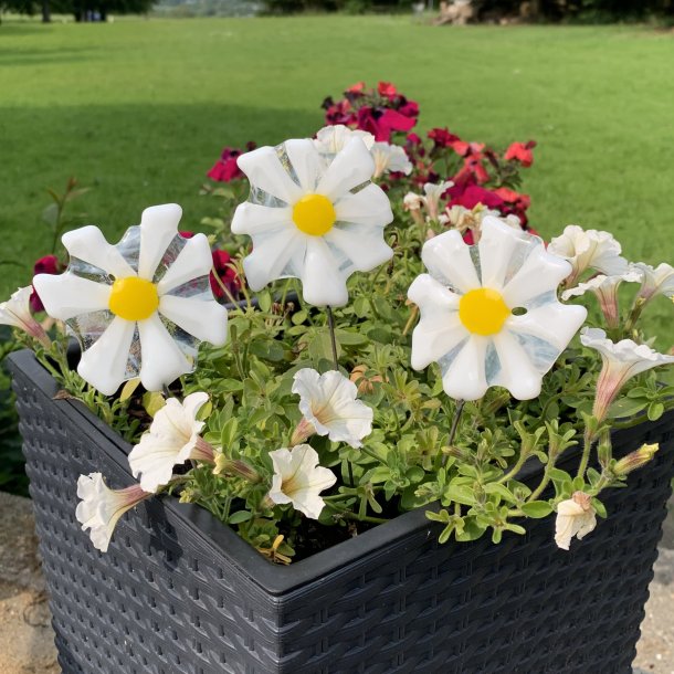 Glasblomster Hvid/Gul (3 stk)