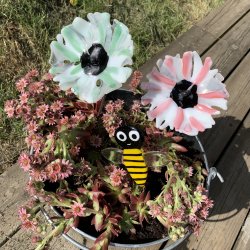 Glasblomster - bestillingsvare