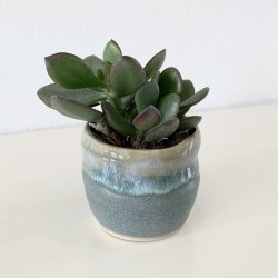 Lille keramik kop / urtepotteskjuler - eucalyptus toner