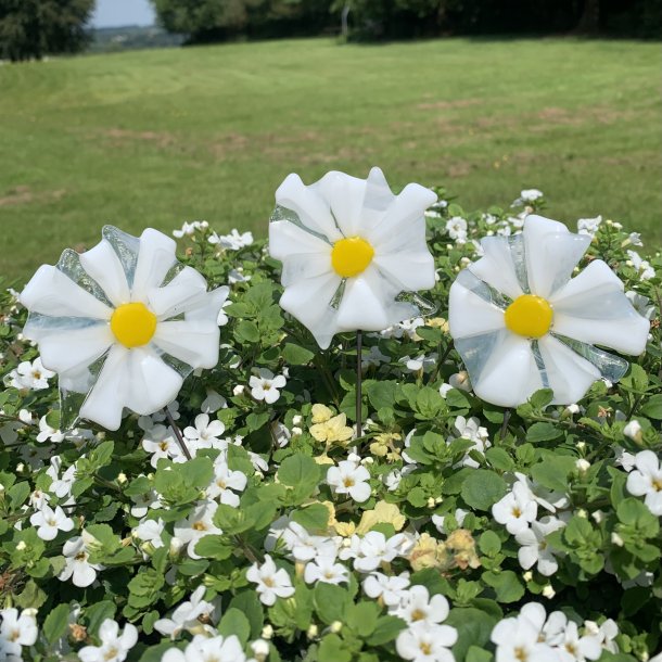 Glasblomster Hvid/Gul 