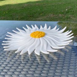 Marguerit blomster fad - 25cm 