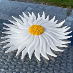 Marguerit blomster fad - 25cm 