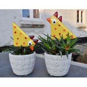 Hns p pind - Gule (2 stk)